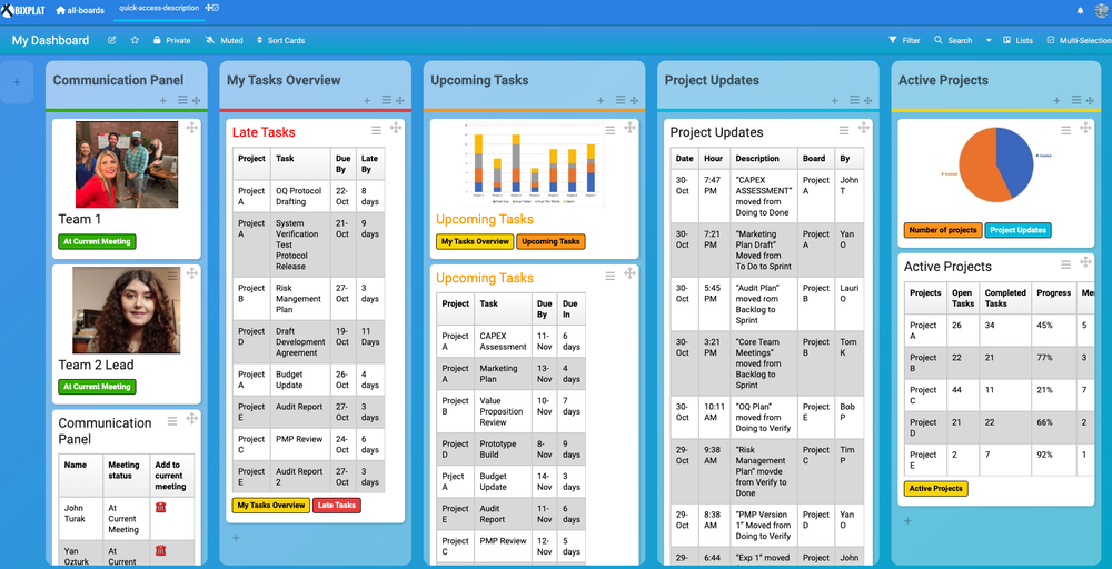 BixPlat Project Board Dashboard